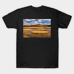 Pen y Fan and Corn Du from Mynydd Illtyd T-Shirt